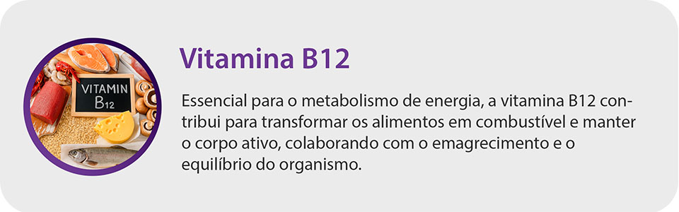 ingredientes-formula-vitamina-b12